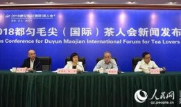 都匀新闻爆料,揭秘当地热点事件背后的真相