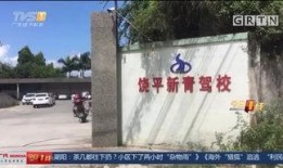 饶平最新爆料消息今天,揭秘今日热点事件背后的真相