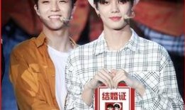 魔味鸭最新爆料新闻视频,独家揭秘幕后故事与品牌新动向