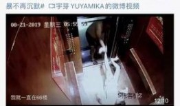 盛宇被爆料家暴视频,真相与反思