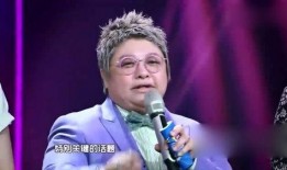 韩红爆料马赛克视频下载,真相与争议