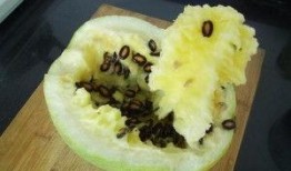 兰州籽瓜免费吃,免费品尝，尽享甘甜滋味