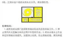 蓝海员工爆料视频播放网站,视频播放网站幕后真相曝光