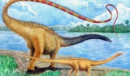 网红吃瓜恐龙图片高清,高清视觉盛宴揭秘神秘生物