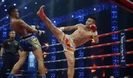 泰拳王在线观看,热血对决，在线激战一触即发