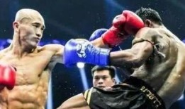 泰拳王在线观看,热血对决，在线激战一触即发