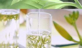 爆料茶叶视频素材大全高清,高清视角下的茶香世界