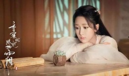 张小寒最新爆料杨紫小说,张小寒独家爆料，揭开神秘剧情