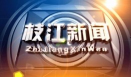 枝江新闻爆料,揭秘当地热点事件背后的真相