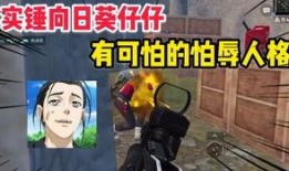 爆料几个假吃主播视频,假吃主播视频曝光，揭秘幕后真相