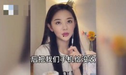 最新女网红爆料视频大全,揭秘娱乐圈最新热点事件
