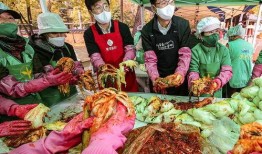 老挝酸菜爆料事件始末视频,揭秘网络爆料的真相与影响