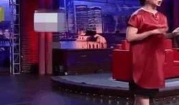 金星爆料视频在线观看,揭秘娱乐圈不为人知的秘密