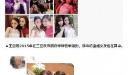 网红结婚吃瓜视频播放下载,海量视频播放下载，揭秘明星婚典幕后