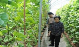 江山网红吃瓜事件是真的吗,真相揭秘还是网络谣言？