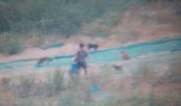 曹先生最新爆料,娱乐圈最新爆料大揭秘！