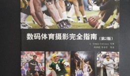 古董商爆料视频大全最新,视频大全中的珍稀古董故事