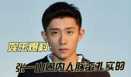 娱乐爆料张一山,娱乐圈再掀波澜