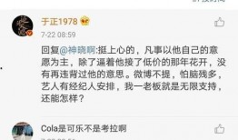 娱乐圈吃瓜txt,揭秘明星背后的故事