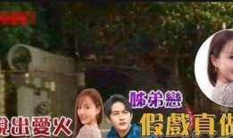 明星姐弟爆料视频合集,幕后故事大揭秘