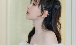 张小寒最新爆料杨紫小说,张小寒独家爆料，揭开神秘剧情