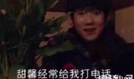 王源狗仔爆料视频播放,揭秘明星私生活幕后真相