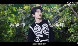 蔡徐坤爆料在哪里看视频,揭秘观看神秘视频的神秘地点