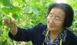 娱乐吃瓜酱中老年人