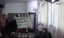 2008金瓶瓶在线观看,经典影片重温之旅