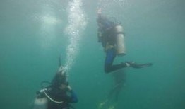 水底世界爆料视频大全最新,水底世界爆料视频大全精彩回顾