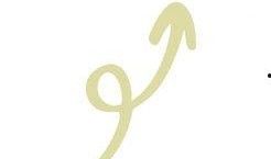 鹅毛笔 手机在线观看