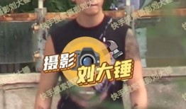 刘大锤爆料图合集视频,揭秘娱乐圈幕后真相