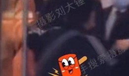 狗仔刘大锤爆料最新