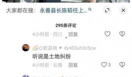 云南永善爆料案件最新,真相揭开，疑云散去，正义终至