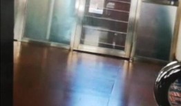哈尔滨爆料女子被打视频,暴力冲突引发社会关注