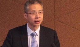 李迅雷最新爆料,揭秘行业内幕，深度剖析市场动态