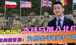北约官员爆料是真的吗视频,北约官员爆料视频真实性探讨