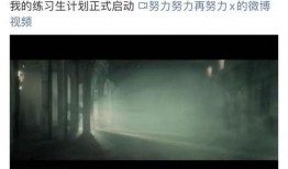 吃瓜娱乐圈刘雨昕,娱乐圈的瓜中女王，揭秘她的星途历程