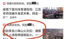 爆料视频从哪里看收益,揭秘网络红利的秘密通道