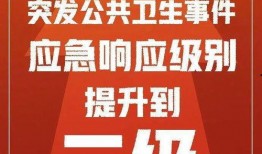 衡东二中爆料新闻事件最新,校园霸凌事件引发社会关注