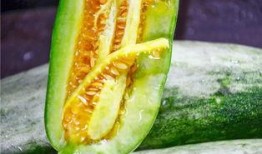 在哪里吃网红的瓜,探寻美食与八卦的交汇之地