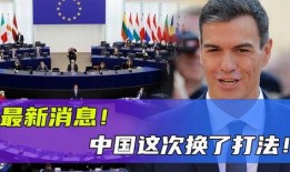 欧盟官员爆料新闻最新报道,最新报道揭示重大政治内幕