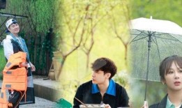 陈赫天涯爆料视频大全集