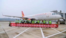 玉林飞机场爆料视频大全,揭秘机场幕后故事