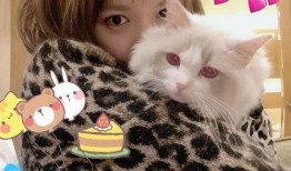 圈内爆料程潇带猫,网友直呼可爱爆表！