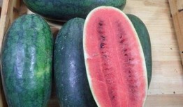 青岛吃瓜网红事件真相是真的吗,真相揭秘，还原事件始末