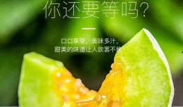 网红有哪些瓜可以吃,那些你不知道的幕后“瓜”事