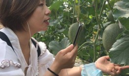 吃瓜网红事件新疆视频,揭秘事件背后真相