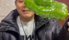 焦作网红吃瓜事件视频