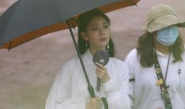 陈瑶最新消息爆料,揭秘娱乐圈不为人知的幕后真相